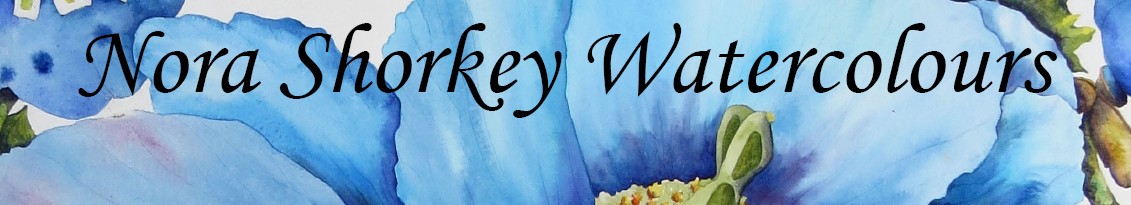 Nora Shorkey Watercolours
